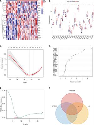 Significance of pyroptosis-related gene in the diagnosis and classification of rheumatoid arthritis